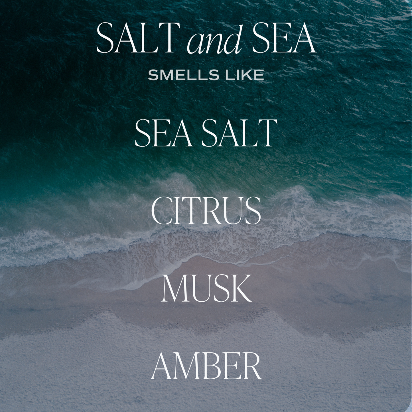 Salt and Sea 12 oz Soy Candle - Home Decor & Gifts