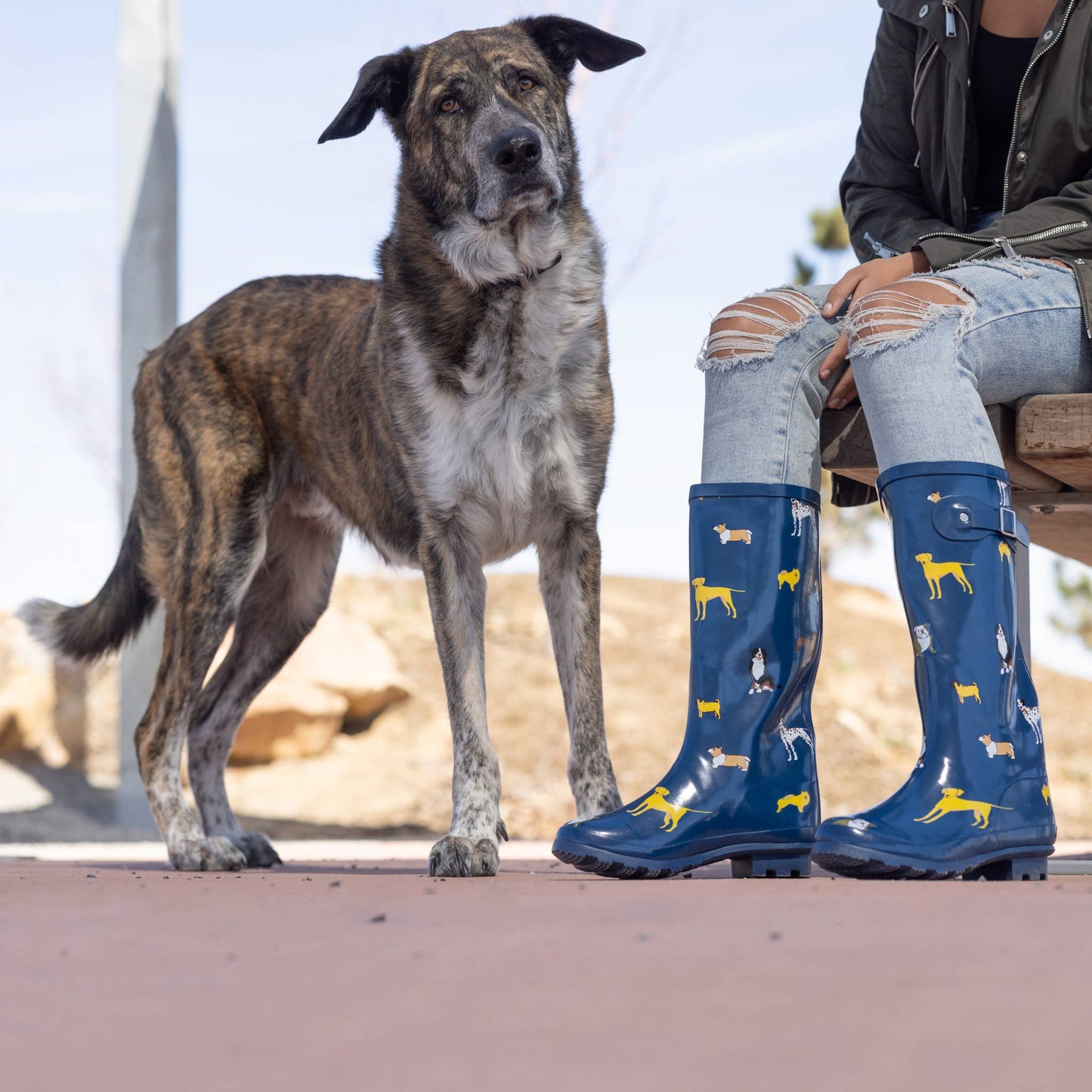 Norty Womens Mid Calf 13" Rain Boot || Blue Floral