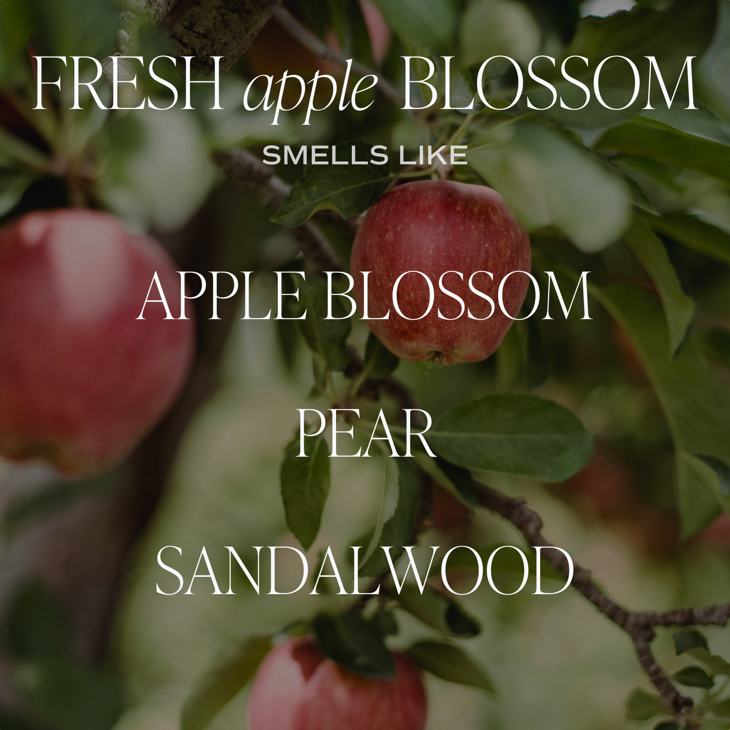 Fresh Apple Blossom 9 oz Soy Candle -Home Decor & Gifts