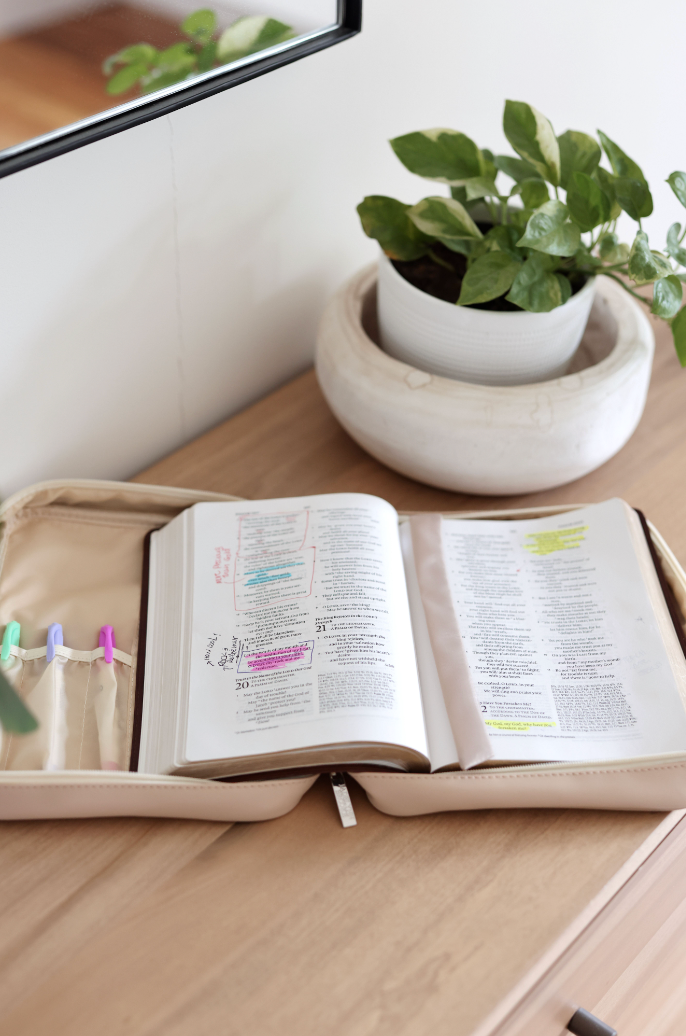 Bible Cover – More Than Able Color Block - Tan/Pink
