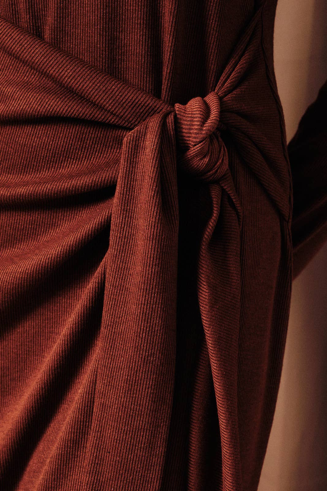 Crew Neck Long Sleeve Mini Dress: Dark Rust