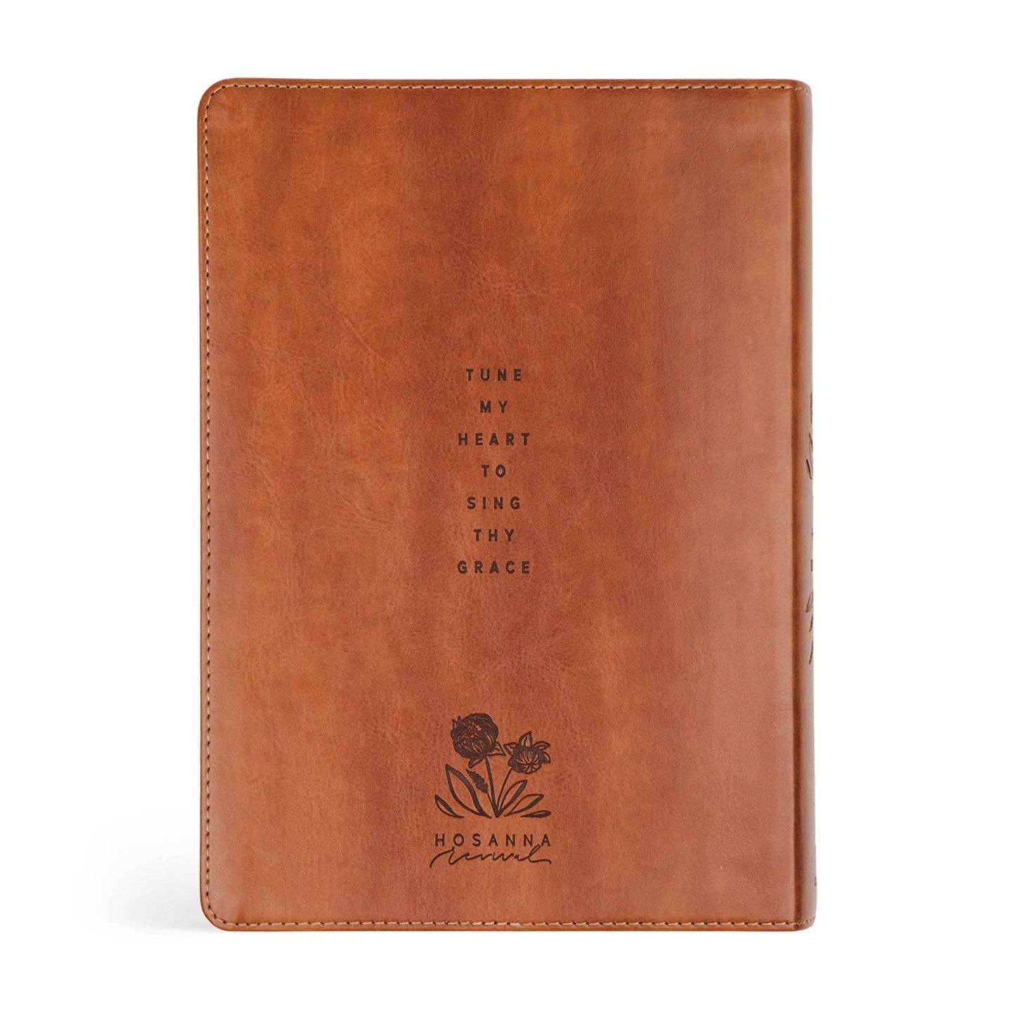 ESV Large Print Journaling Bible: Sierra Theme
