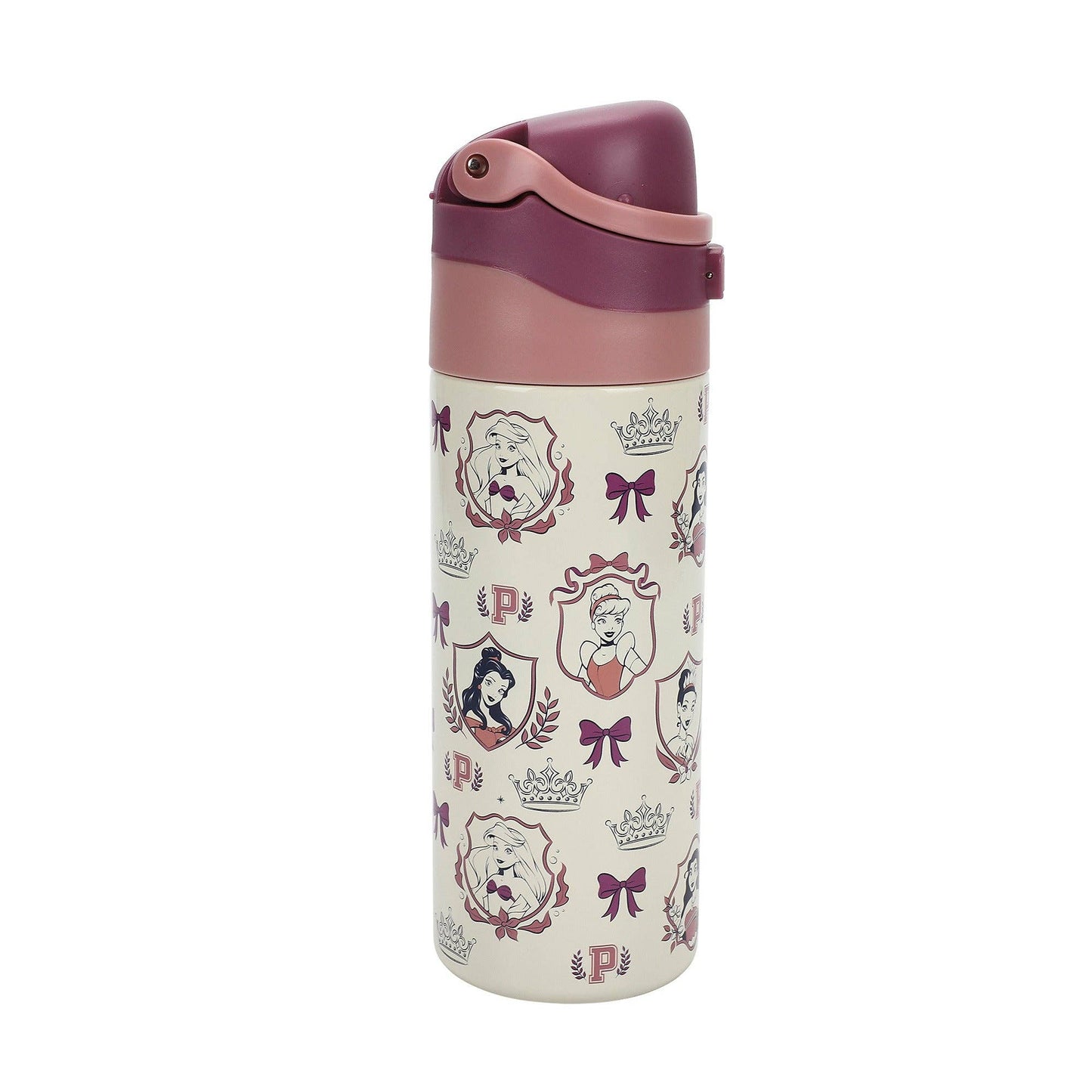 Disney Princess All-Over Character Print 24 Oz Stainless Steel Water Bottle