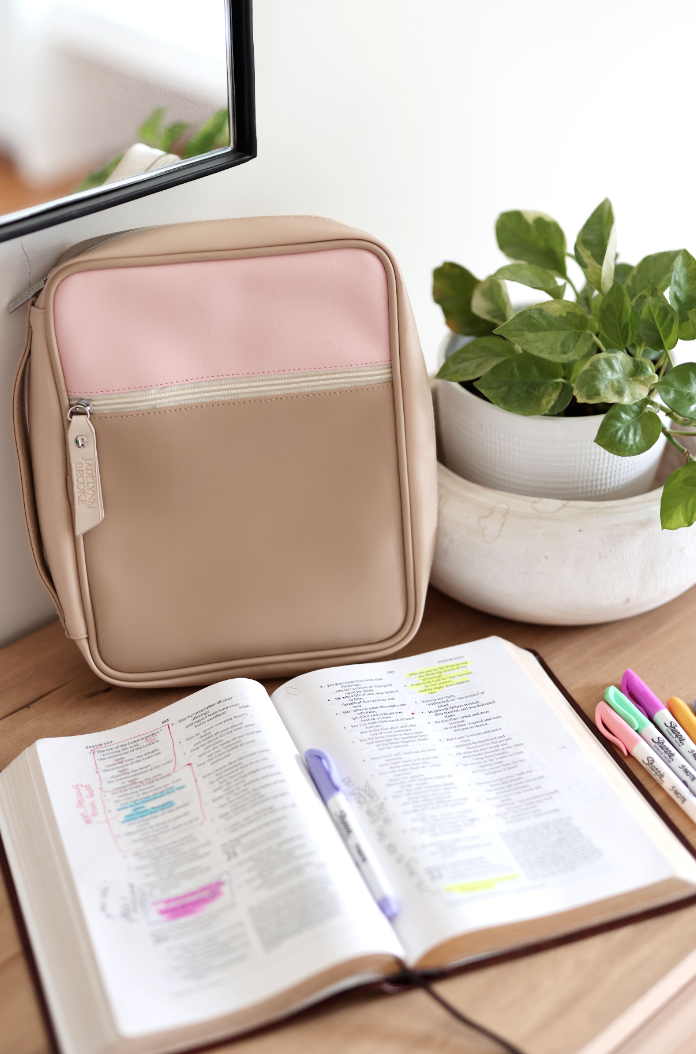 Bible Cover – More Than Able Color Block - Tan/Pink