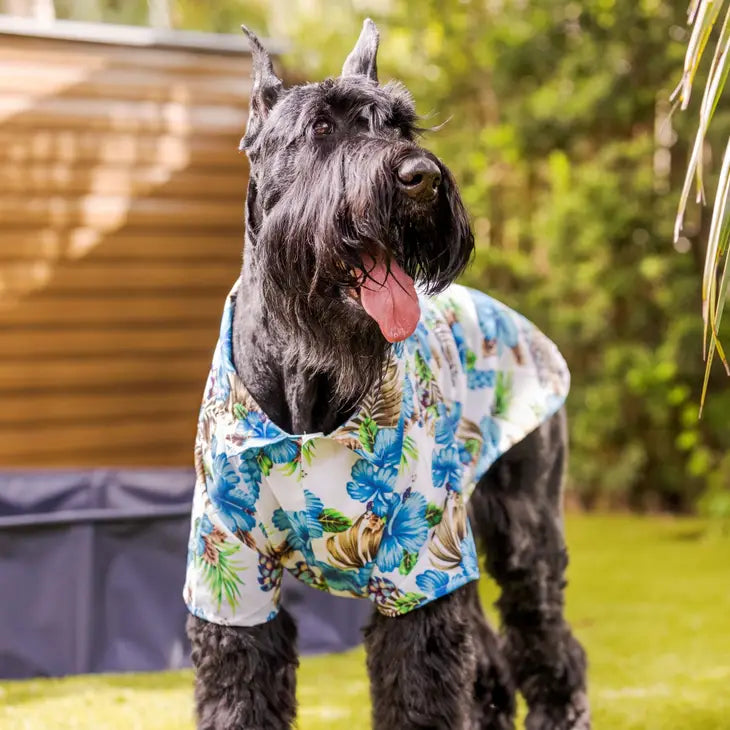 Blue Hawaiian Shirt For Dogs